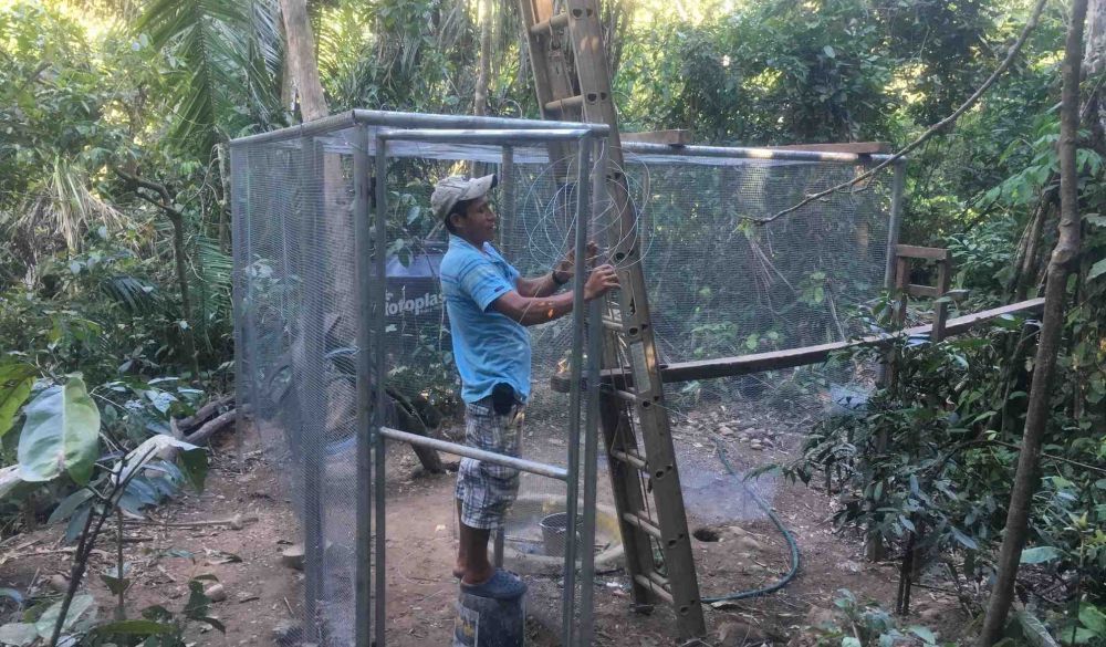 Esperanza Verde - Peru